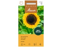 Sonnenblume Goldie Sonnenblume Goldie