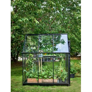 Serre noire Halls Qube 66 avec des plantes dans le jardin.