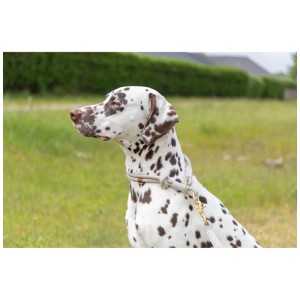 Cane con collare a strozzo Trixie Soft Rope, grigio chiaro-grigio, Ø 6 mm, circonferenza 35 cm.