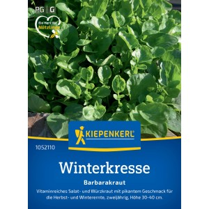 Kiepenkerl Crescione invernale Barbarakraut, foglie verdi. Semi di erbe ricchi di vitamine per il raccolto invernale.