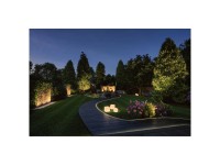 Paulmann LED-Spot Pike Plug & Shine ZigBee RGBW Anthrazit 40°