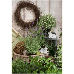 Scène décorative avec des grenouilles, des plantes et une couronne. Accessoires de modelage pour le jardin.