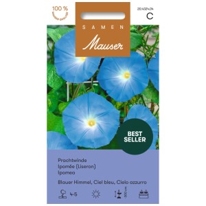 Sachet de graines de Volubilis 'Ciel Bleu' : Fleurs bleues en entonnoir à cœur jaune.