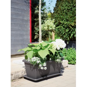 Fioriera antracite Geli Plato 30x60cm con piante all'aperto.