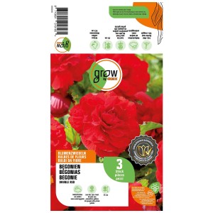 Grow by OBI Begonia Double Red, 3 pezzi. Fiori doppi rosso intenso. Ideale per aiuole e vasi.