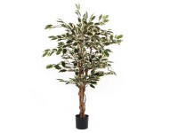 Mica Decorations Kunstpflanze Ficus Grün-Bunt Topf Ø 70 cm / Höhe 110 cm