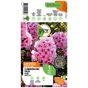 Grow by OBI Phlox Bright Eyes, fiore rosa e bianco. Un bulbo per aiuole e vasi.