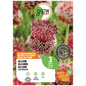GROW by OBI Ail d'ornement Red Mohican, 3 pièces. Fleurs rouge bordeaux sur longues tiges. Bulbes de fleurs pour le jardin.