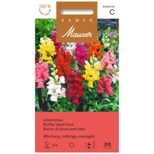 Sachet de graines de muflier, mélange semi-haut avec des fleurs colorées en jaune, rouge, rose et blanc.