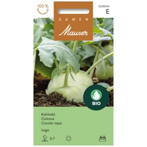 Sachet de graines de chou-rave Logo : Plante de chou-rave vert clair robuste dans le jardin.