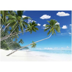 Quadro su tela Artis: Spiaggia con palme, cielo blu, nuvole bianche, 45x65 cm.