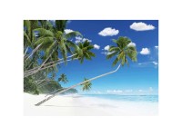 Artis Leinwandbild Canvas Plage Palmiers 45 x 65 cm