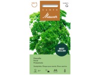 Saatplatte Petersilie