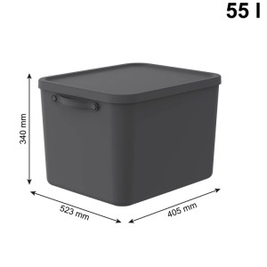 Rotho Mythen Aufbewahrungsbox 55 l, Charcoal Schwarz, Kunststoff, mit Deckel und Griff. Maße: 523x405x340 mm.