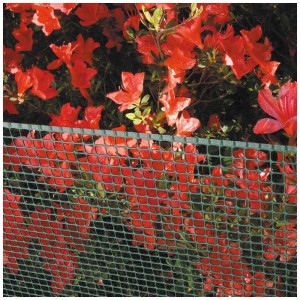 Griglia multiuso Quadra 10 verde davanti a fiori rossi in fiore come protezione flessibile.