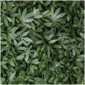 Haie artificielle 3D Acer Palamatum, feuilles d'érable vertes pour l'intimité du balcon.