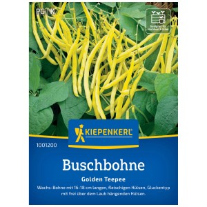 Seme di fagiolino nano Golden Teepee Kiepenkerl con baccelli gialli.