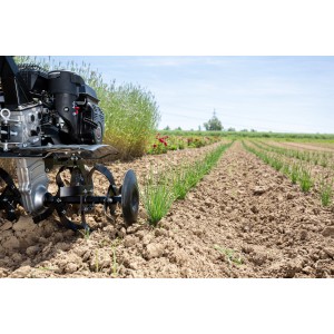 Motobineuse thermique Al-Ko MH 770 Comfort travaillant le sol dans un champ.