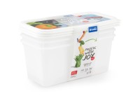 Rotho Gefrierdosen-Set Domino Kunststoff 3 x 1,5 l
