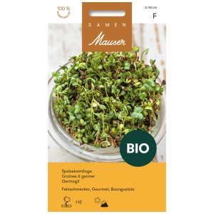 Mélange de graines germées bio gourmet de lentilles, radis et roquette dans un verre.