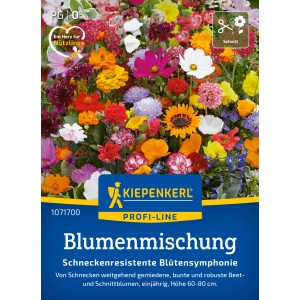 Mix di fiori Kiepenkerl Sinfonia di fiori resistente alle lumache con fiori estivi colorati.