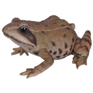 Detailreiche Dekofigur Frosch (7 cm) von Vivid Arts für die Gartendekoration.