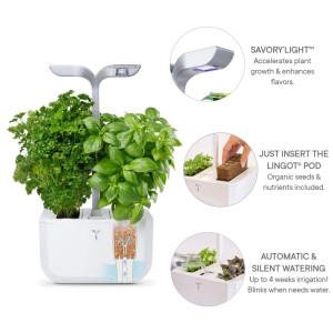 Véritable Exky Smart potager d'intérieur blanc arctique avec basilic et persil.