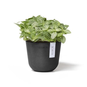 Pot de fleurs Ecopots Oslo Mini, gris foncé, 11,5x10cm. Idéal pour les petites plantes, pour l'intérieur et l'extérieur.