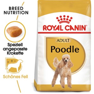 Royal Canin Poodle Adult cibo secco per cani di razza barboncino, confezione da 1,5 kg.