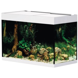 Oase Aquarium Styleline 175, 160 l, combinaison aquarium blanc avec plantes et poissons.
