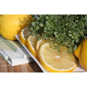 Thym citron frais avec des tranches de citron sur une assiette. Herbes de cuisine pour gourmets.