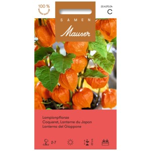 Sachet de graines de lanterne chinoise : Lanternes orange et feuilles vertes de la plante ornementale.