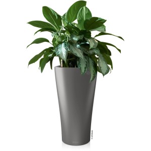 Pot de fleurs Lechuza Delta Premium, 40x40x75 cm, anthracite métallisé avec plante verte.