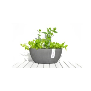 Pot de fleurs gris Ecopots Sofia avec plantes, 13,5x13x30cm.