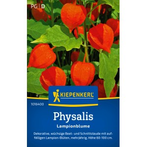 Kiepenkerl Physalis alkekengi con lanterne arancioni e foglie verdi.