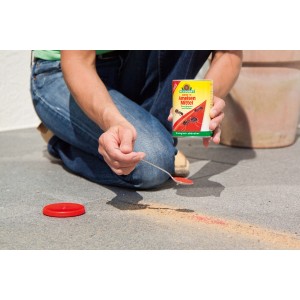 Applicazione di Neudorff Loxiran-S formica killer con un cucchiaio su un patio.
