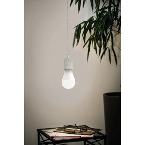 Eglo E27 LED Lampe mit grauer Fassung, 1300 lm, warmweiß bis tageslichtweiß, smarte Steuerung.