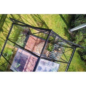 Serra Halls Icon 8, telaio nero, 8,1 m², con piante e accessori da giardino dall'alto.