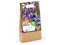 Grow by OBI Farbarrangement 2 Mischung 60 Stk. Grow by OBI Farbarrangement 2 Mischung 60 Stk.