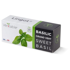 Confezione di semi di basilico dolce biologico Véritable Lingot per giardini interni.