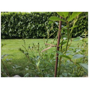 Videx Drahtbinder-Set zum Anbinden von Pflanzen im Garten, mit Papiermantel, 100 Stück.