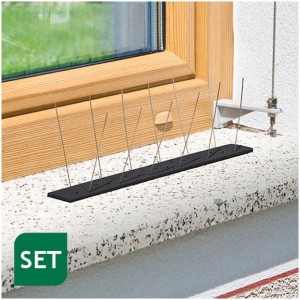Windhager Vogelabwehr Starter-Set auf Fensterbank, 1m Taubenabwehr mit Spikes.