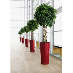 Pot de fleurs Lechuza Delta Premium, 40x40x75 cm, Rouge Scarlet, brillant, avec plantes.