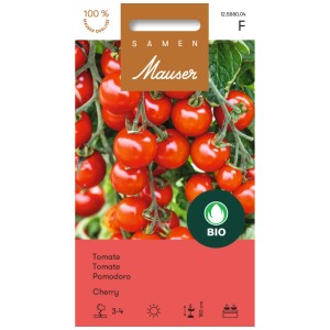 Graines de tomates cerises bio : Petites tomates rouges sur la grappe.
