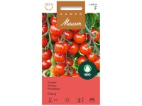 Tomate Cherry Bio