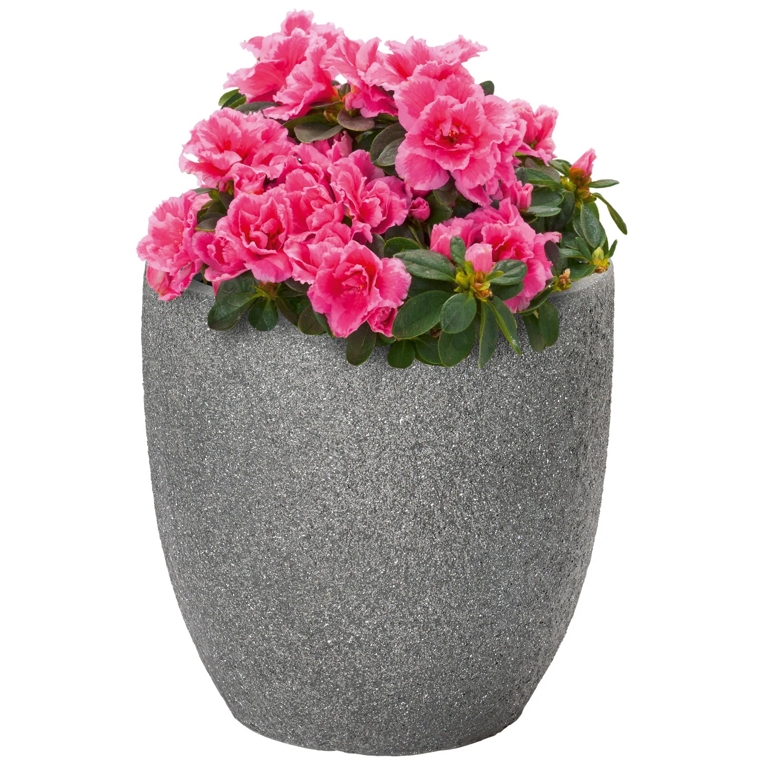 Pflanztopf Lavalle Anthrazit  45,5 cm / Hhe 45 cm
