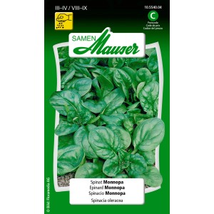 Sachet de graines d'épinards Monnopa, semences potagères à croissance rapide pour plates-bandes.