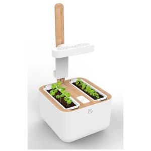 Véritable Indoor Herb Garden Botaneo Eylo con illuminazione LED e due moduli per piante.