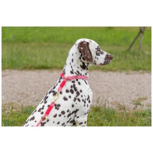 Cane con collare Trixie Soft Rope rosso-crema, Ø 13 mm, circonferenza 50 cm.