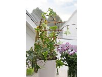 OBI Blumengitter Beige 77 cm / 2 Stk.